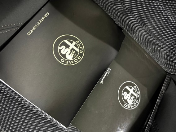 Aperçu de la photo 21 du véhicule ALFA ROMEO TONALE