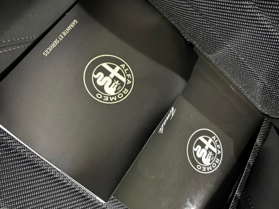 Aperçu de la photo 20 du véhicule ALFA ROMEO TONALE