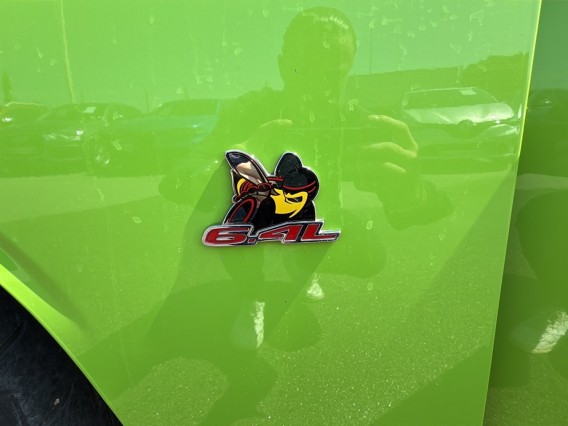 Aperçu de la photo 29 du véhicule DODGE CHALLENGER