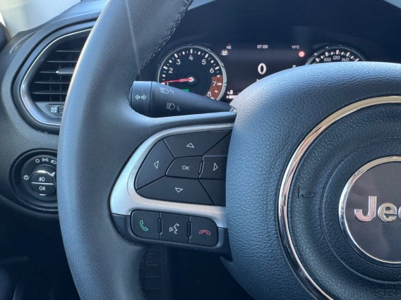 Aperçu de la photo 21 du véhicule JEEP RENEGADE