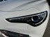 Aperçu de la photo 43 du véhicule ALFA ROMEO STELVIO MY22