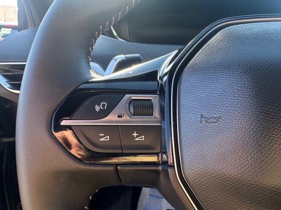 Aperçu de la photo 21 du véhicule PEUGEOT 3008